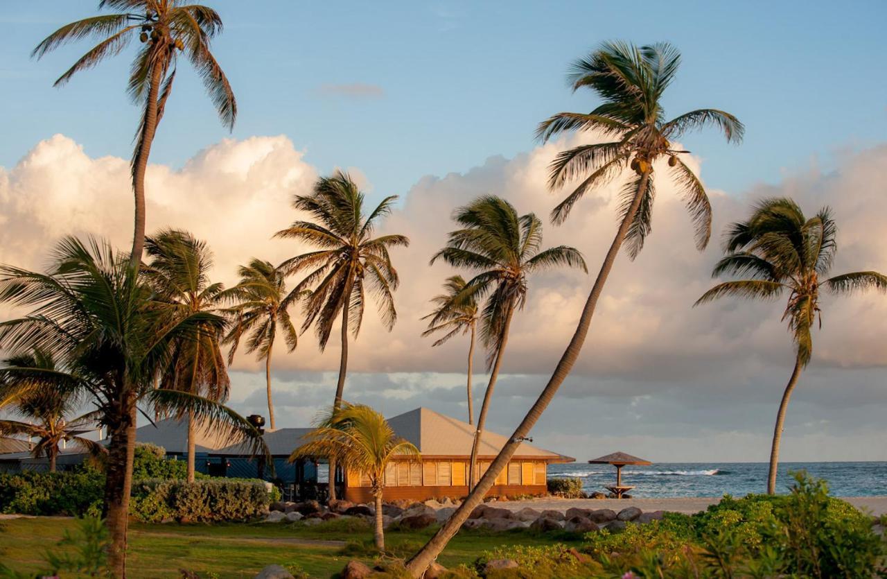 Nisbet Plantation Beach Club Newcastle ภายนอก รูปภาพ