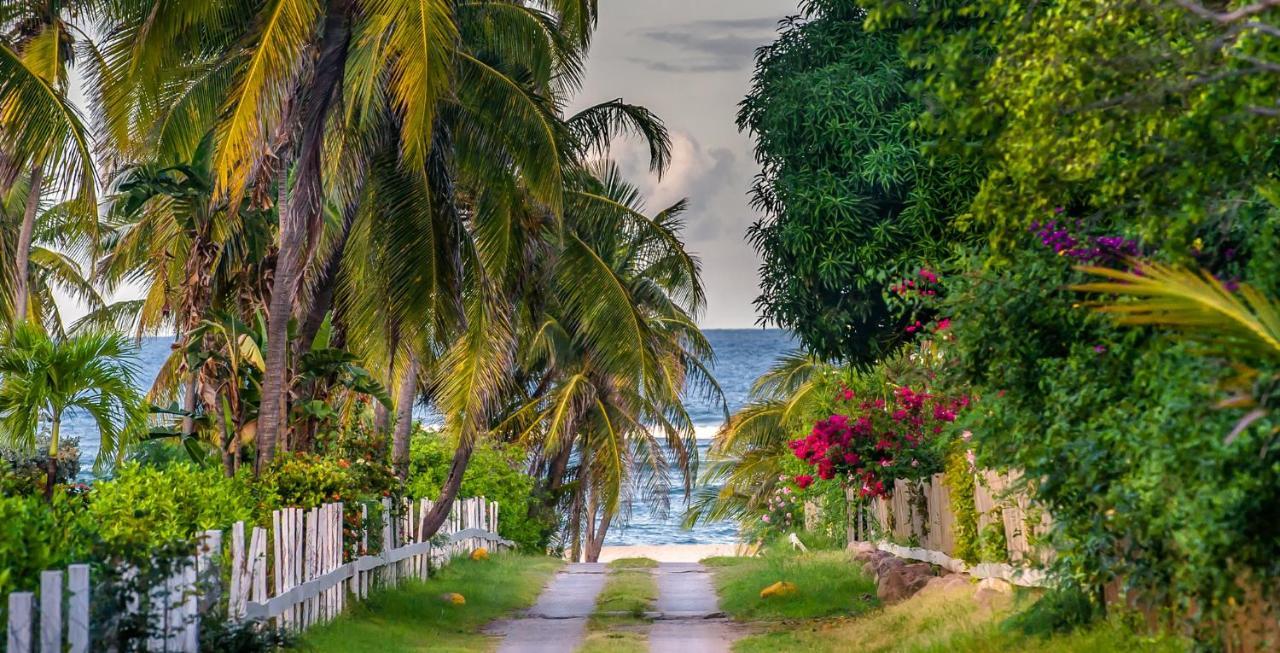 Nisbet Plantation Beach Club Newcastle ภายนอก รูปภาพ